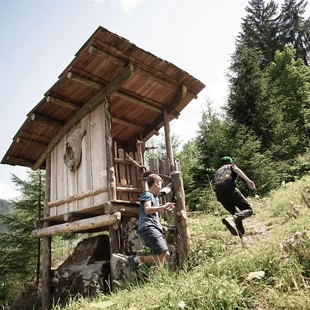 Bretei Huette Alpehytte Grossarl